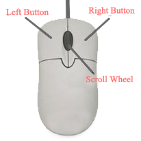 Computer Mouse with Parts Name