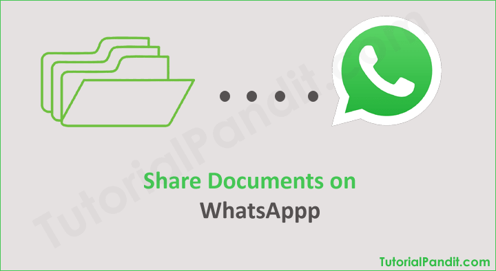 WhatsApp पर डॉक्युमेंट फाइल भेजने की पूरी जानकारी हिंदी में