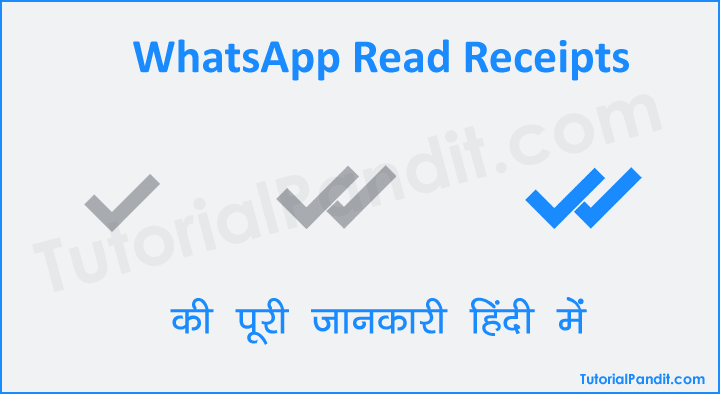 WhatsApp Read Receipts की पूरी जानकारी हिंदी में
